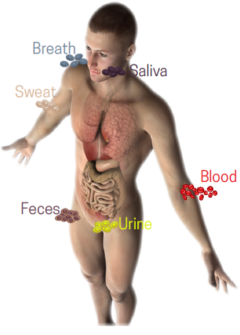 image1 agapios agapiou